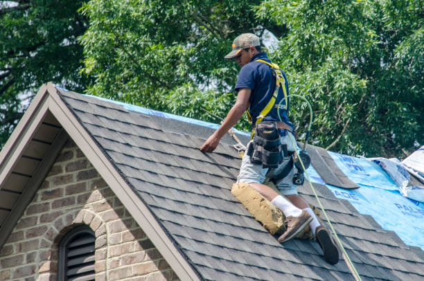 Best Roof Gutter Cleaning  in Guilford Center, CT